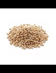 sal integral ouromar churrasco 20x1kg