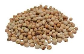 sal integral ouromar churrasco 20x1kg