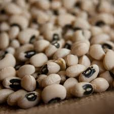 sal integral ouromar churrasco 20x1kg