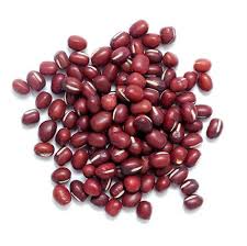 sal integral ouromar churrasco 20x1kg