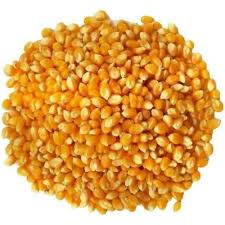 sal integral ouromar churrasco 20x1kg