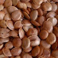 cajuina garrafa 12x330ml