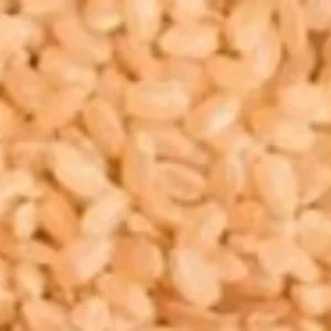 ARROZ CATETO VM/BR 25KG